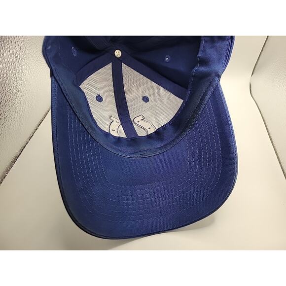 Reebok Indianapolis Colts Hat Adjustable Strapback Cap NFL Football - Picture 6 of 7